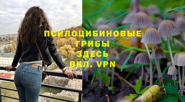 мдма Нефтекумск