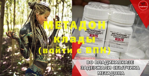 прущие грибы Наволоки