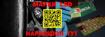 mdpv Гатчина