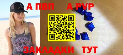 спиды Гай