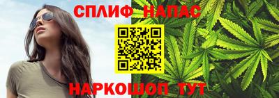 спиды Гай