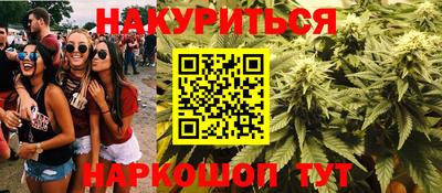 mdpv Гатчина