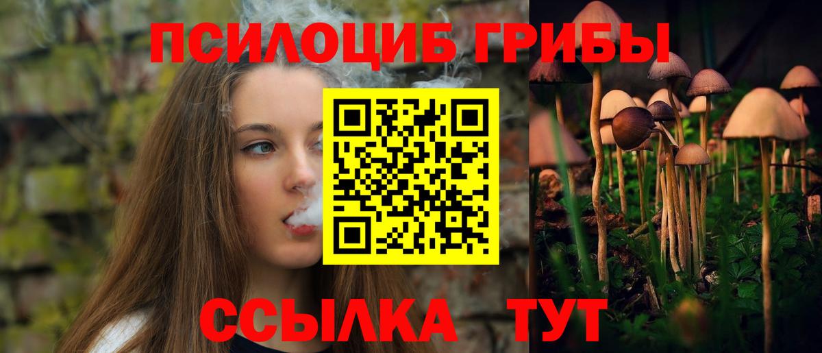 Псилоцибиновые грибы прущие грибы  Псилоцибиновые грибы Psilocybine cubensis  Вход с VPN  Осинники 